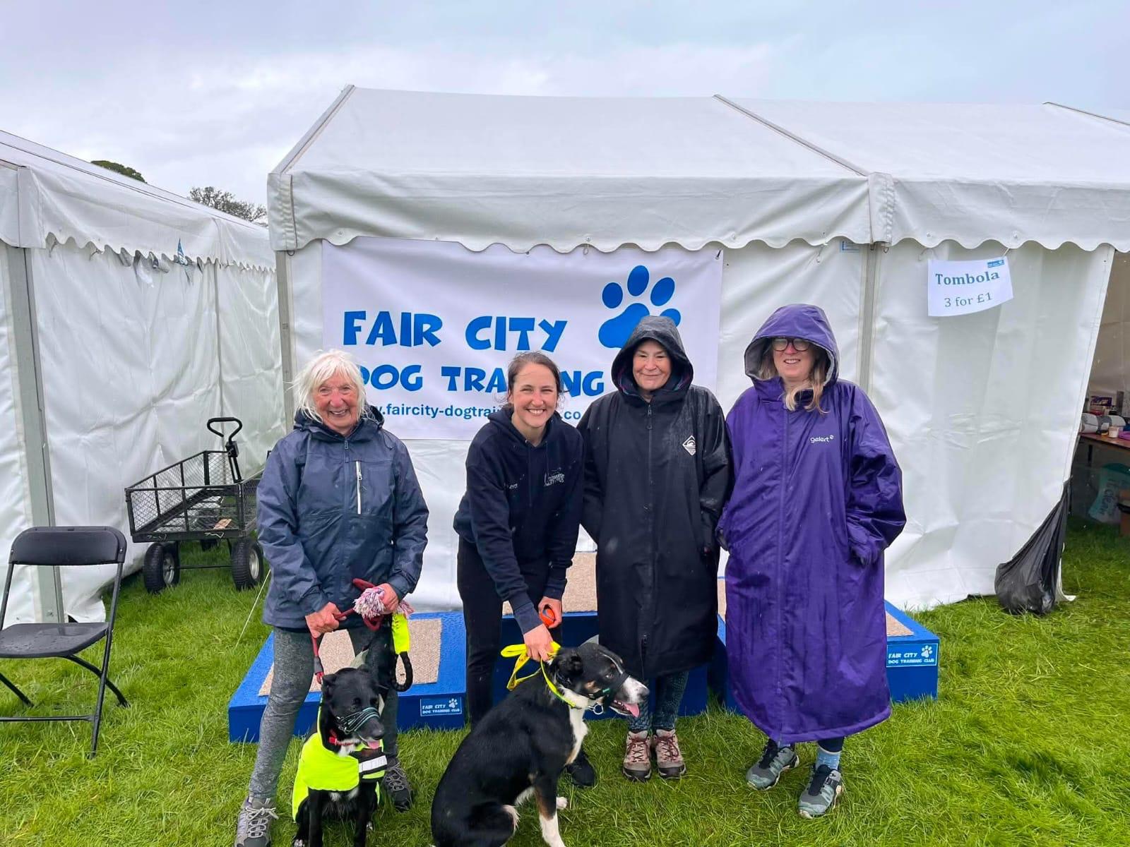 Handlers and dogs at a dog show